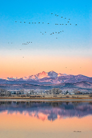 Longs Peak at Berthoud CO with Geese