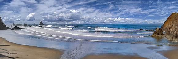 Oregon Costal Pan 3