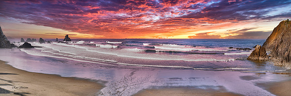 Oregon Costal Pan 4