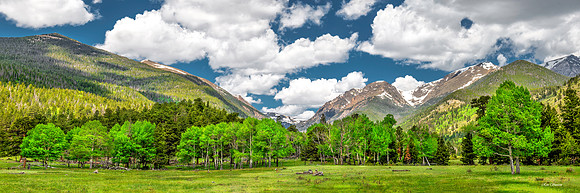 RMNP Fall River Summer Pan