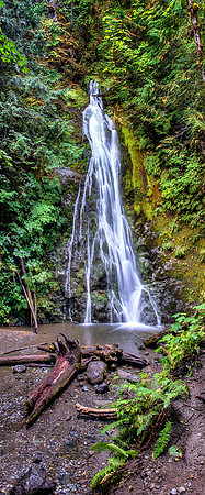 Madison Falls Olympic Park Washington