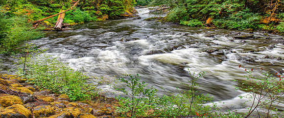 Salmon Cascades Olympic National Park