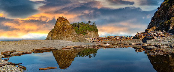 Ruby Beach Washington 3 Pan