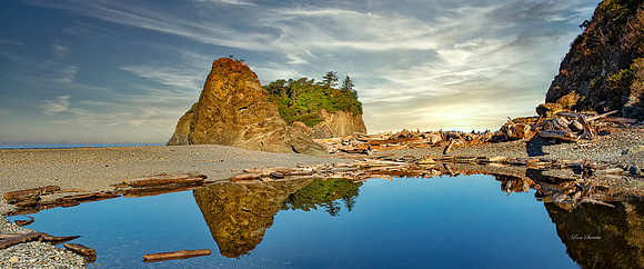 Ruby Beach Washington 3 Pan 2