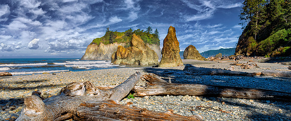 Ruby Beach Logs Washington Coast 1
