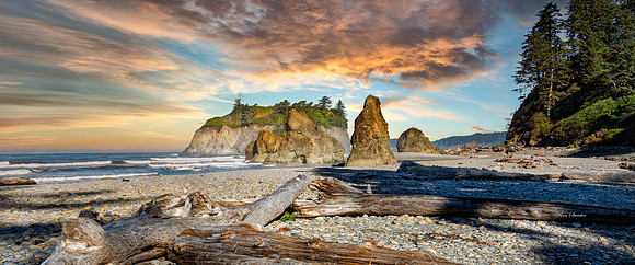 Ruby Beach Washington Coast Logs 2