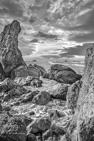 Ruby Beach Mini Cove Washington BW