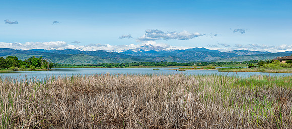 Longs Peak and McIntosh Lake Reeds Longmont CO Pan1