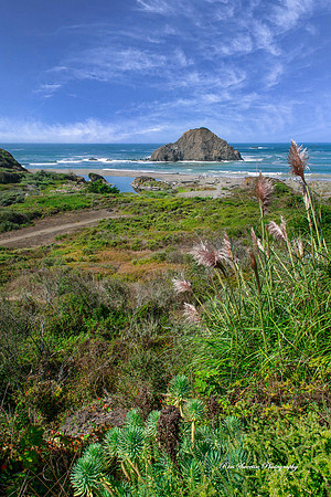 Elk Cove - Elk California