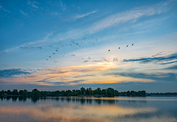 Lake Loveland Colorado Sunrise with Geese 26 by 18