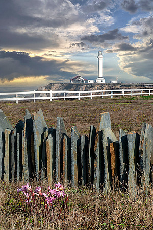 Point Arena Lighthouse - Point Arena California