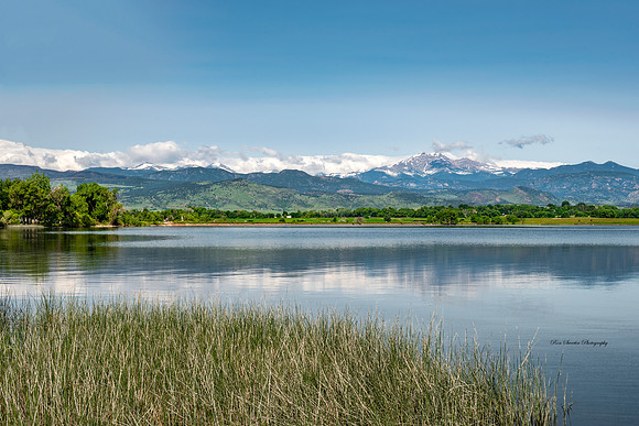 Longs Peak With Grass at McIntosh Lake Longmont CO