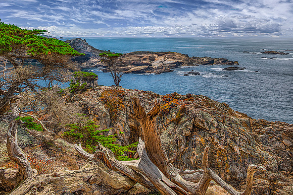 Point Lobos 1 - Point Lobos California