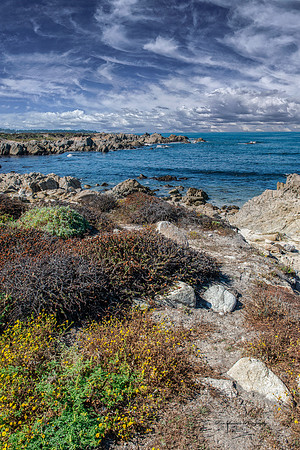 Pebble California Beach Shore Line