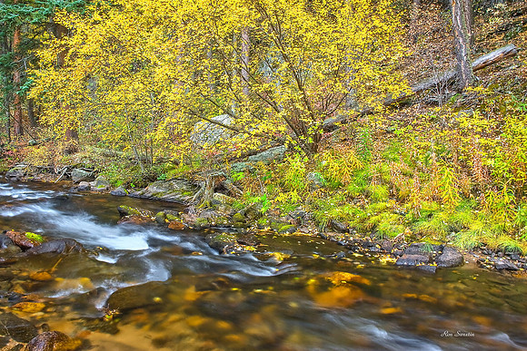 Glen Haven, CO Stream