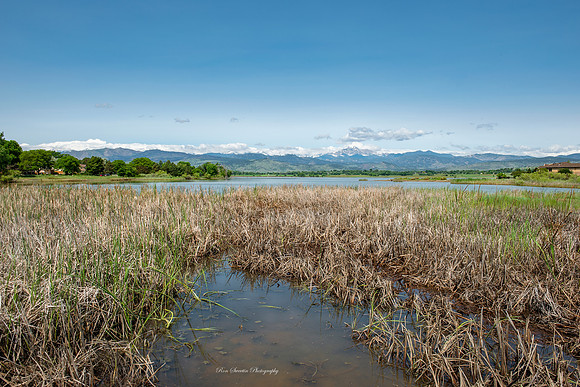 Longs Peak and McIntosh Lake Reeds Longmont CO