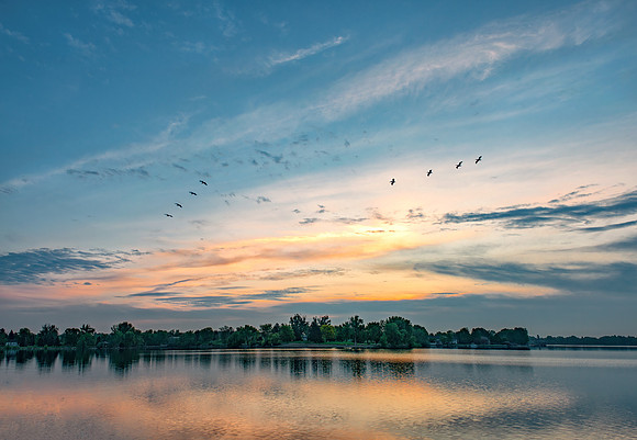 Lake Loveland Colorado Sunrise with Geese 26 by 18