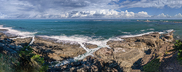 Oregon Coastal Pan 45 by 18