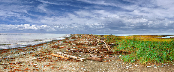 Dungeonous Spit Washington Coast Beach View