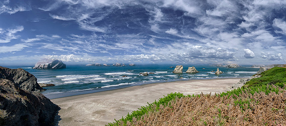 Oregon Coastal Beach 50 by 22