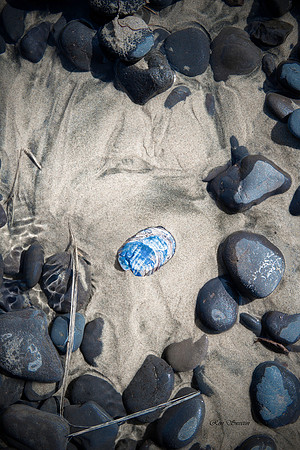 Cannon Beach Gem