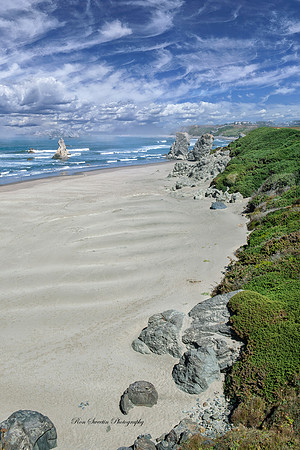 Oregon Coastal Beach 1