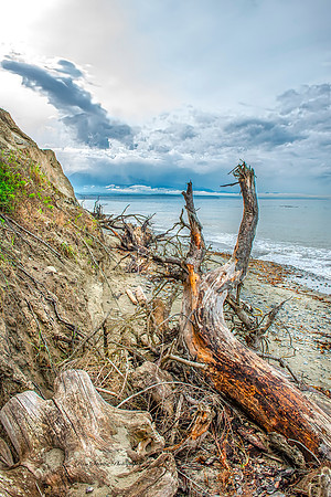 Dungeonous Spit Shore 1 Washington Coast