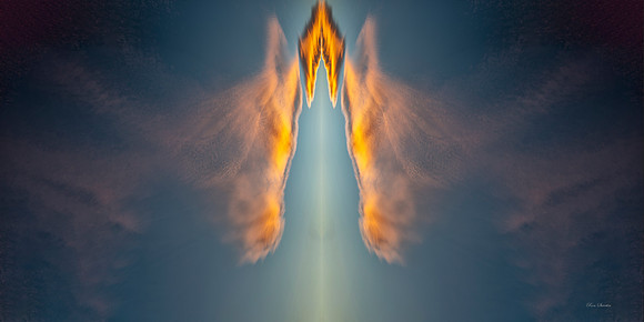 Phoenix Rising 36 by 18