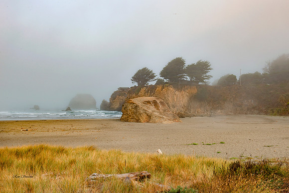 Crescent City California Beach Fog