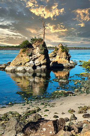 Coastal Rocks, Bandon Beach, OR