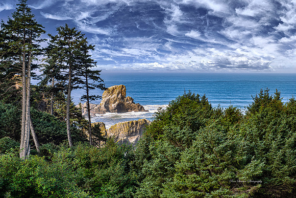 Ecola Park, Oregon Rocky Shore 1