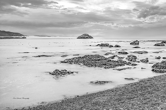 Crescent City California Bay Sunset BW