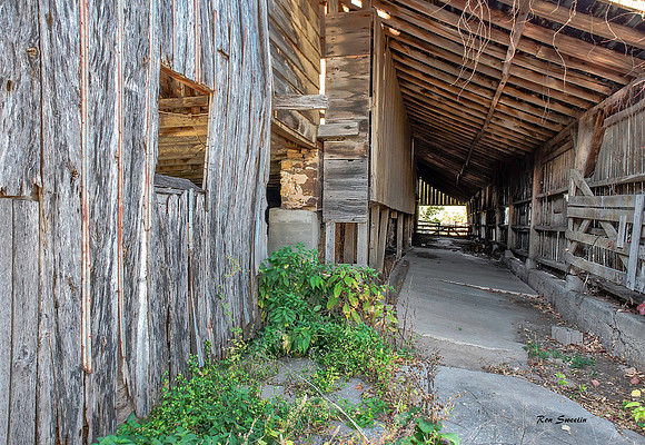 Back of the Barn