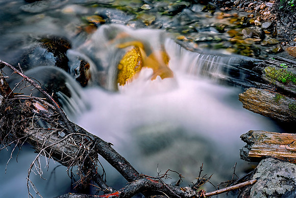 Gem in a Stream, Telluride, CO