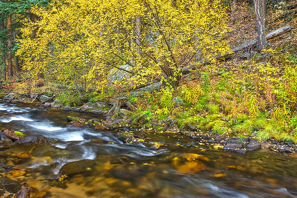 Glen Haven CO Stream