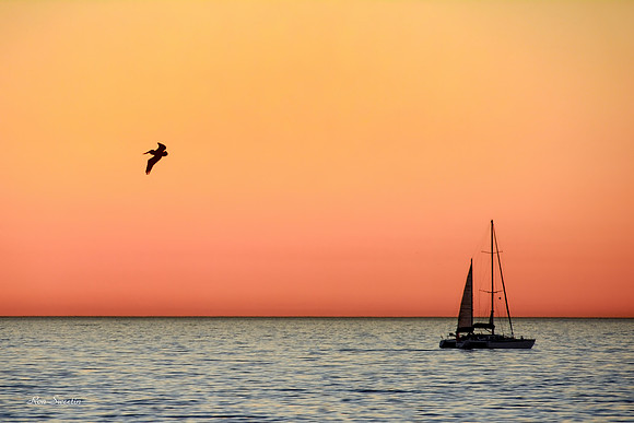 Sunset Cruise