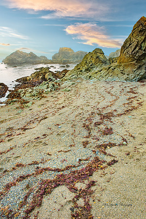 Crescent City California Beach Afternoon