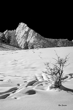 Flatirons in Snow BW, Boulder, CO