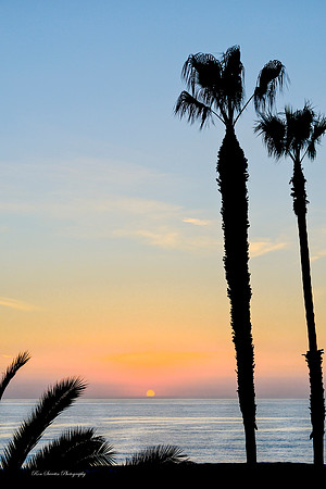 Pacific Sunset - Oceanside California