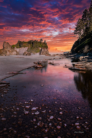 Ruby Beach Tide Pool 2