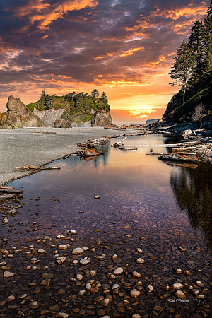 Ruby Beach Tide Pool 1