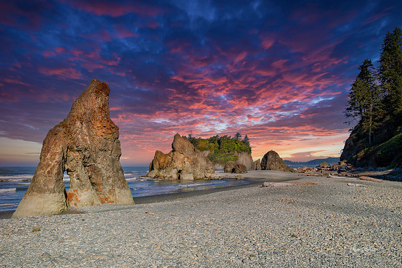 Ruby Beach Broad View 1
