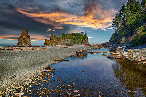 Ruby Beach Long View 4