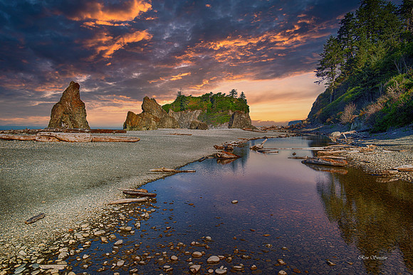 Ruby Beach Long View 3