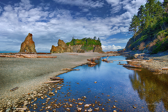 Ruby Beach Long View 5