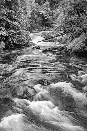 Upper Salmon Cascades Olympic National Park Washington BW