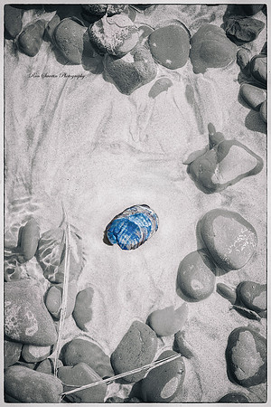 Oregon Beach Gem