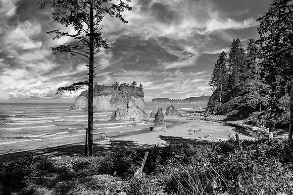 Ruby Beach from Path 1 Washington BW