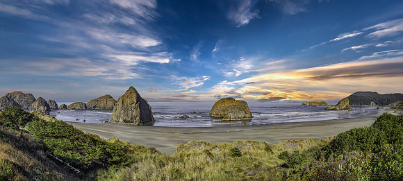 Oregon Coastal Beach Pan 1