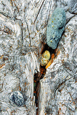 Can You See Me, Crescent City, CA